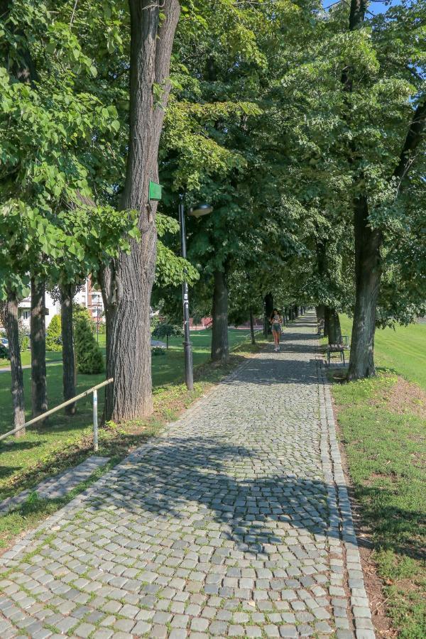 Apartman Marija Appartement Pirot Buitenkant foto